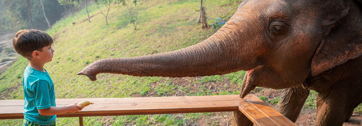 ישראלים בוחרים לבלות את החגים בחו"ל